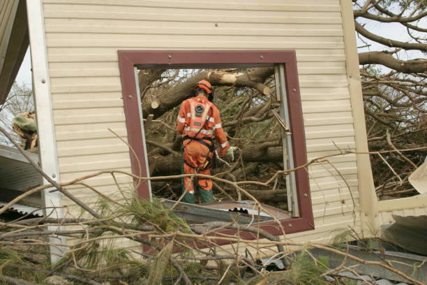 Best Tree Preservation Services  in Rock Creek, AL