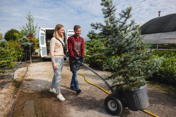 Best Hazardous Tree Removal  in Rock Creek, AL